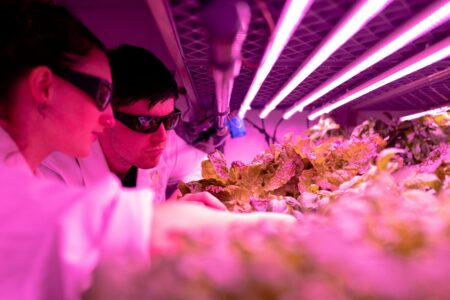 Modern vertical farming tower with LED lights growing leafy green vegetables in hydroponic system